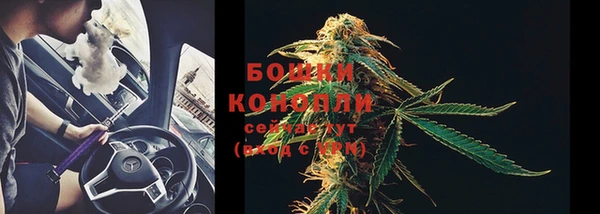 спайс Киренск