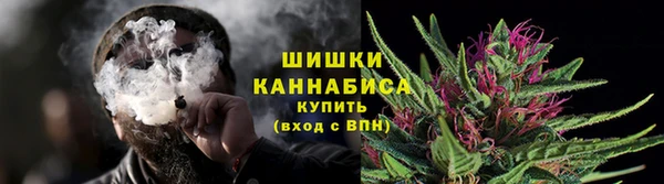 твердый Козельск