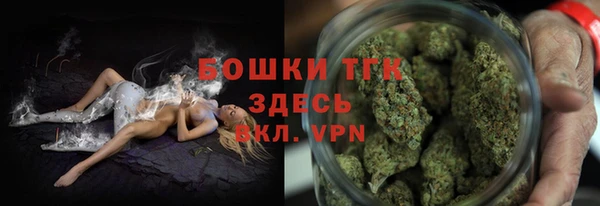мдпв Козловка