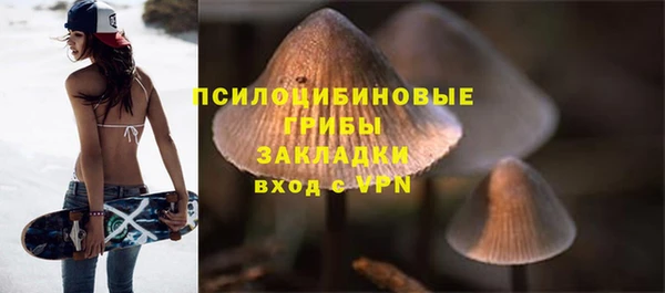 spice Киреевск