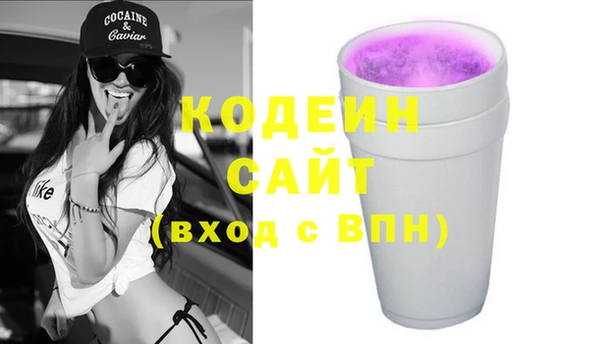 мдпв Кодинск