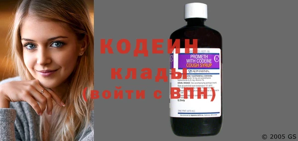 мдпв Кодинск