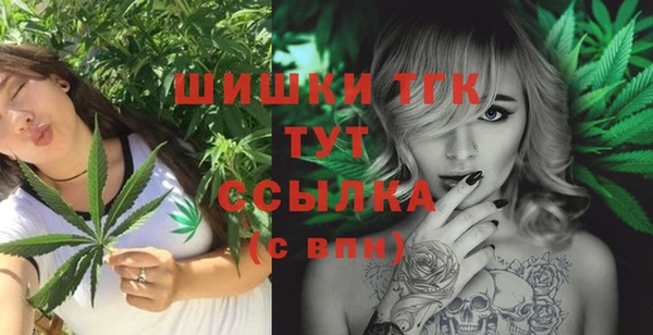 мдпв Кодинск