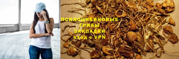 мдпв Кодинск