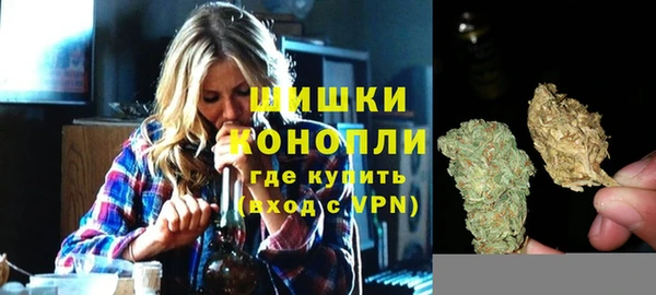мдпв Козловка