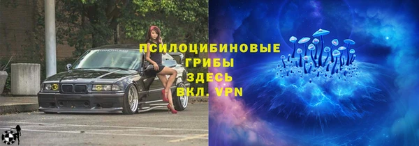 мдпв Козловка