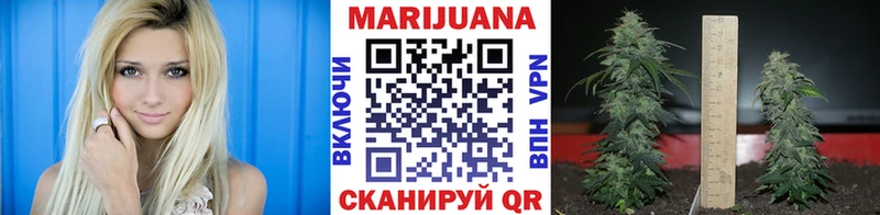 Купить Лыткарино Канабис индика